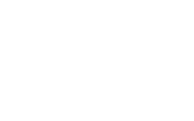 Paul Nehlen for Congress Retina Logo